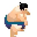 Sumo Support Icon