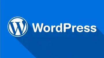 Custom WordPress Website Development