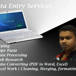 I will do data entry and copy paste work perfectly
