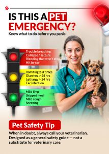 Pet-Safety-Tip-1768305008.jpg