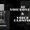 workreap-ai-voice-cloning-and-voiceover-service
