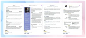 workreap-resume-write-up-service-sample-cv-3