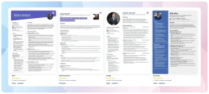 workreap-resume-write-up-service-sample-cv-4