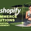 workreap-shopify-ecommerce-website-creation-and-management