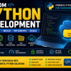 Custom Python Development Services for Business